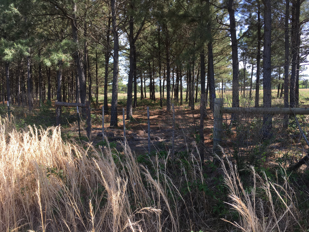 562096BC-F84A-4C2D-B734-FDAD7258EF73