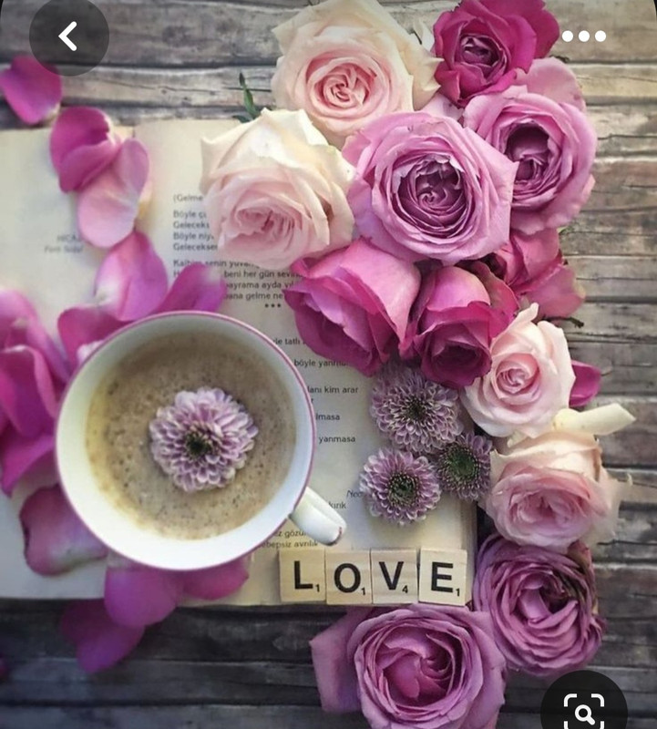 Screenshot_20230615_232225_Pinterest