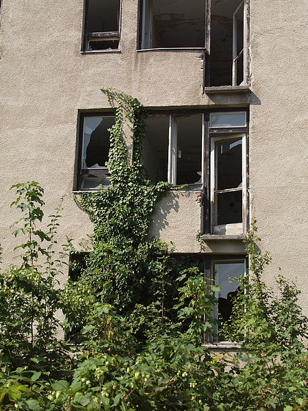 P8317267