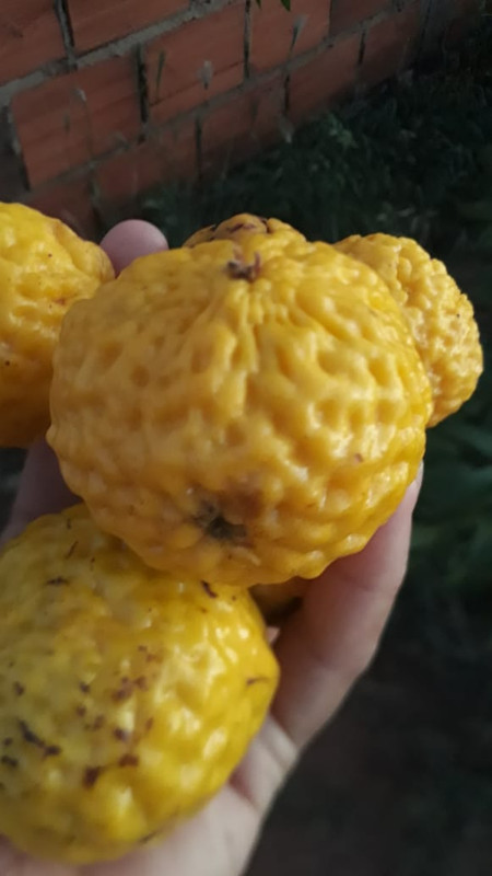 WhatsApp Image 2020-12-09 at 11.43.53 (2)