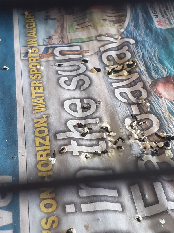 IMG_2021-06-06-12-59-11-760