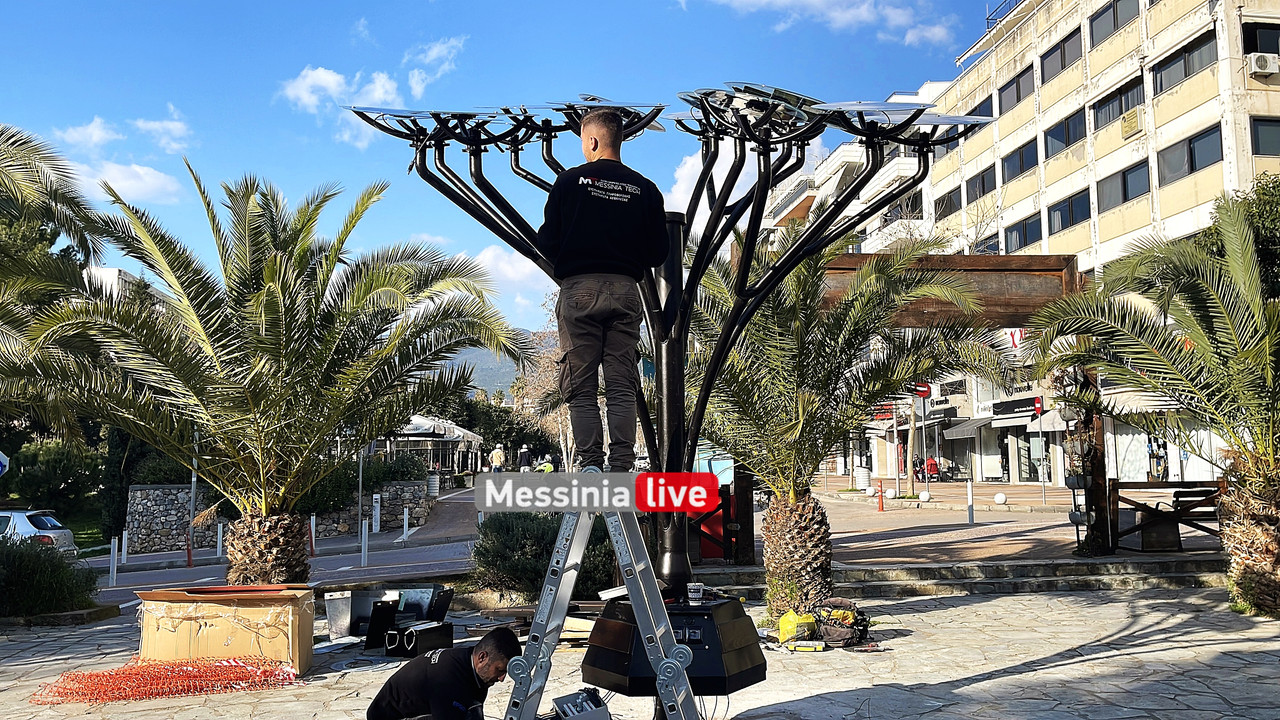 ΕΞΥΠΝΟ ΔΕΝΤΡΟIMG_0041