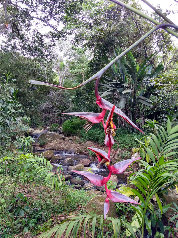 39454000_1830756526959691_3816097774143799296_n