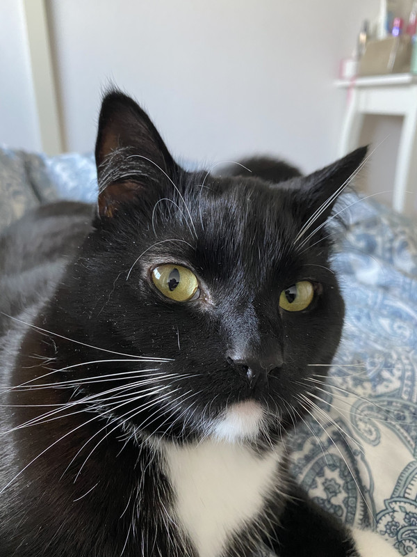 B3A8202C-CD8E-46F0-BAF7-A31A9ECC247C