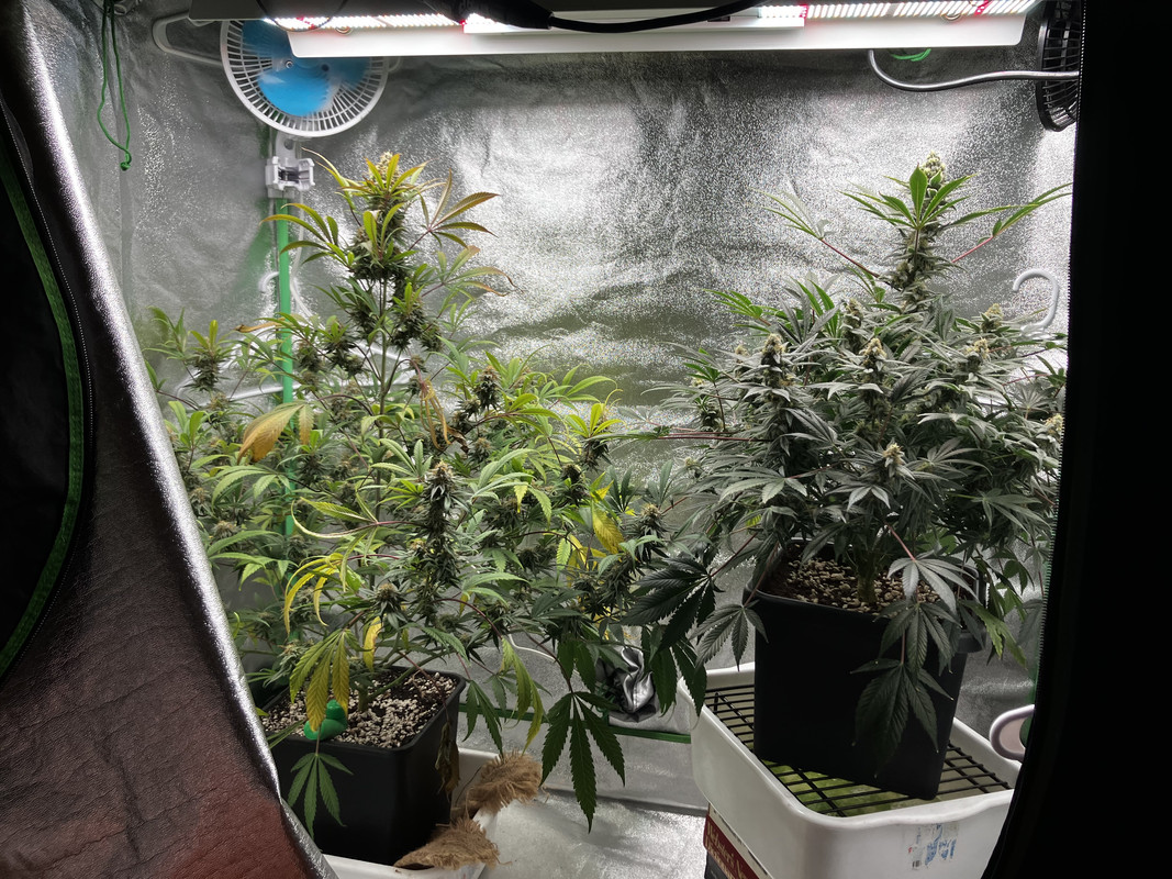 18B354D1-4BB7-450E-8DDD-565F5D294ED4