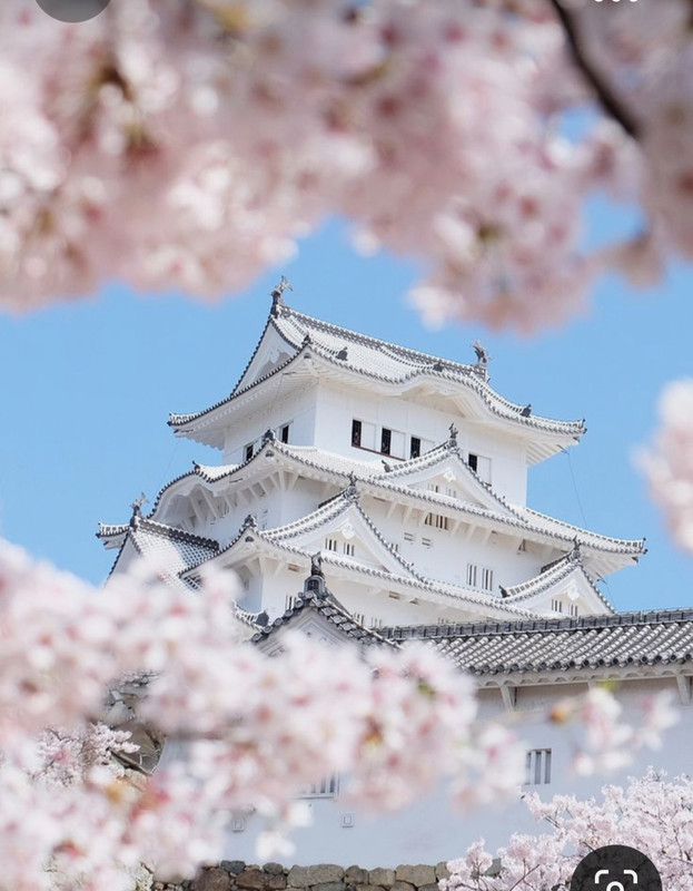 Screenshot_20231011_134943_Pinterest