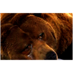 IMG-5428.png