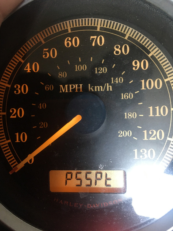 230346EF-821C-4D37-A65F-C86D7FC9734A