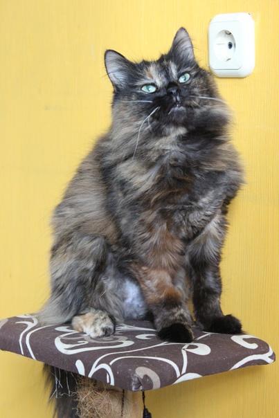 изображение_viber_2019-10-12_17-32-05