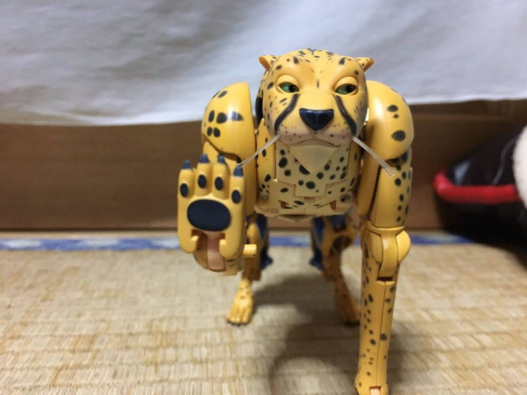 16825838_413135409036892_1521958342761188205_o