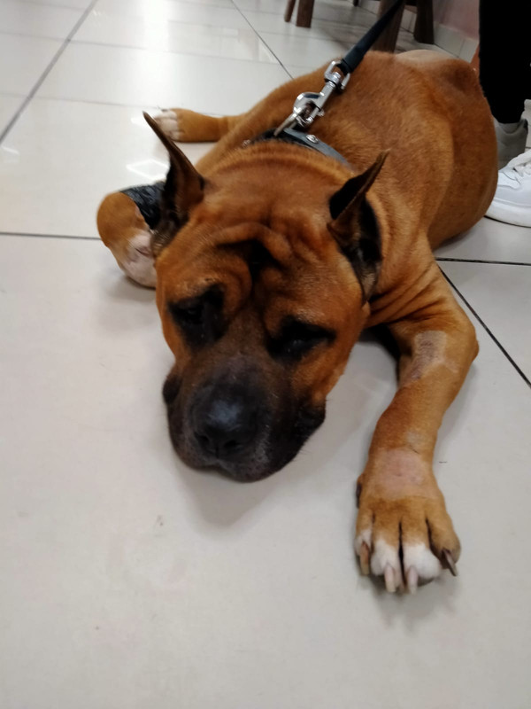 WhatsApp Image 2023-08-15 at 20.24.59 (2)