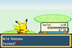 1636 - Pokemon Fire Red (U)(Squirrels)_16