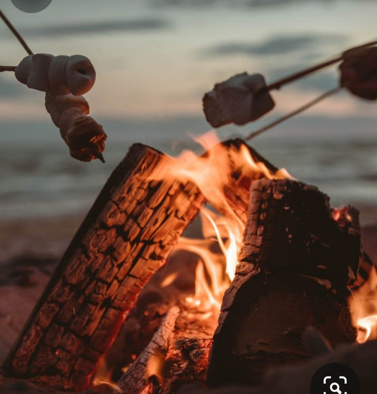 Screenshot_20231127_224238_Pinterest