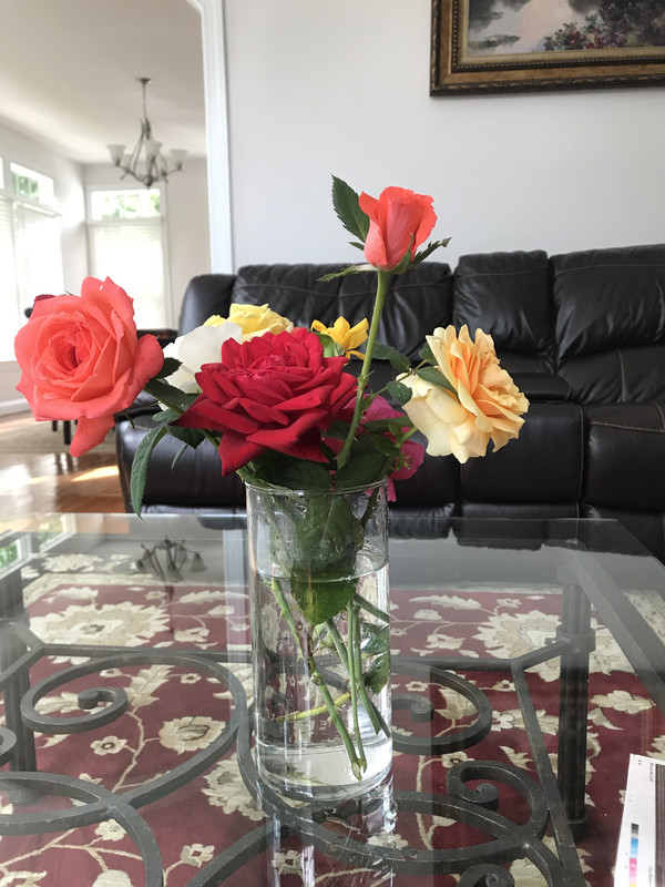 91D2328D-A922-45CB-8EF0-3C99A571E44B