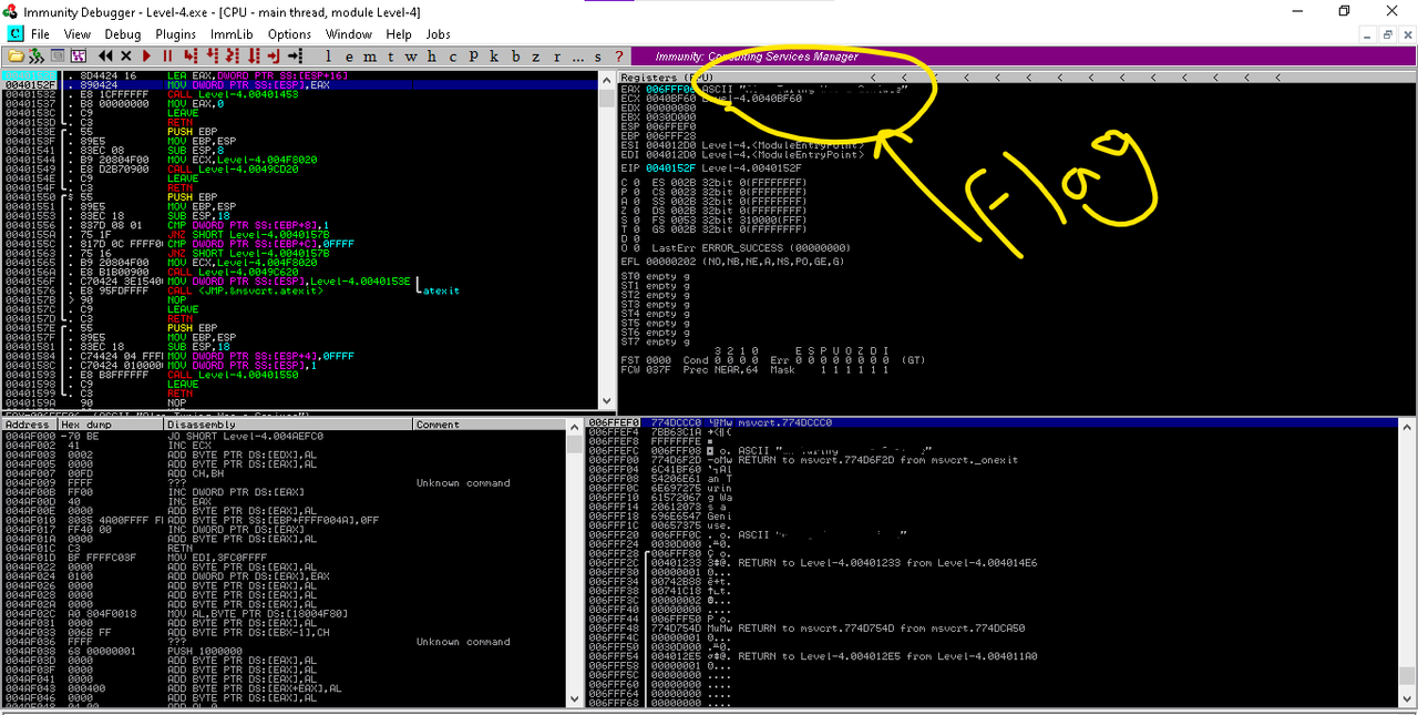 Flag - Level 4 - Immunity Debugger