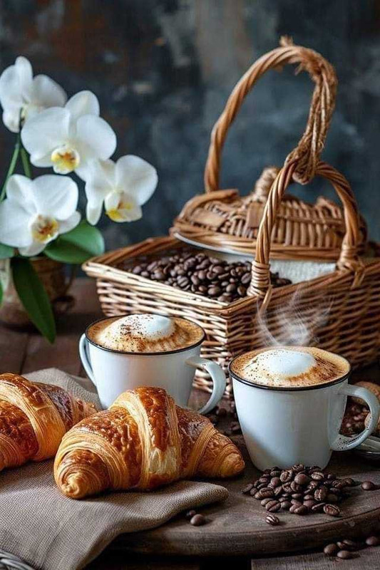 449235310_438186189174136_2899284284377786170_n