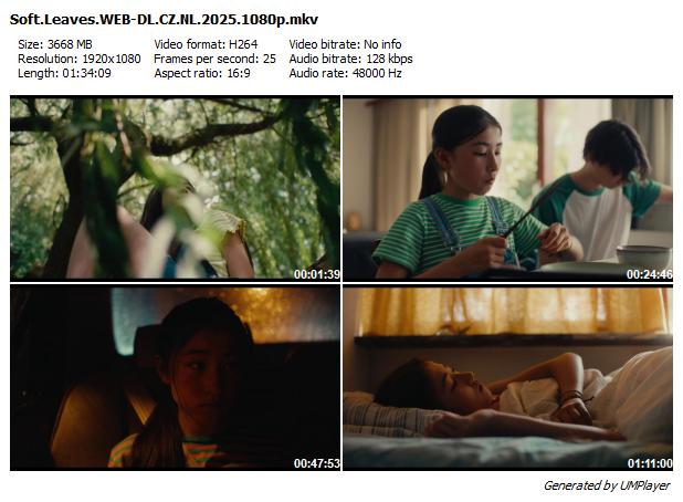 Křehké listí / Soft Leaves (2025)