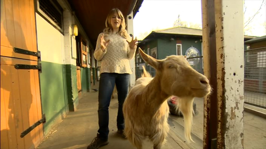 BBC London News_20220324_18301900.ts_snapshot_25.08.404