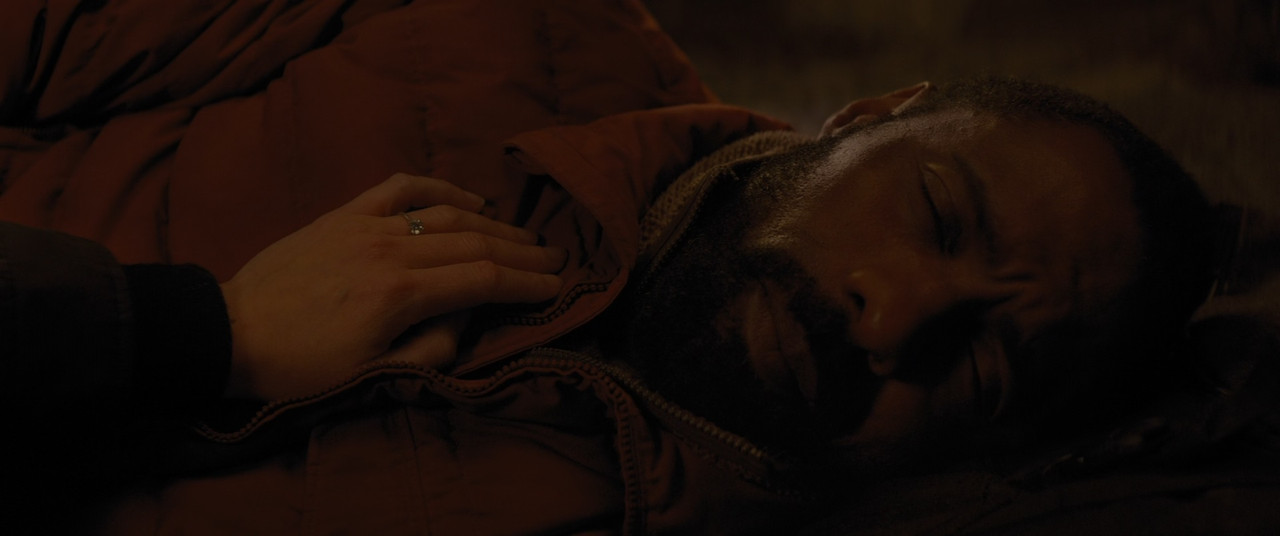 The Mountain Between Us 2017 (1080p x265 10bit Tigole).mkv_snaps