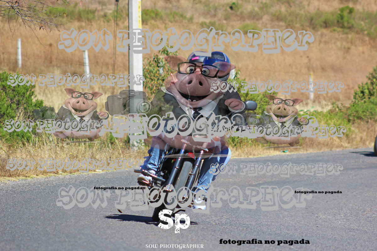 IMG_2808