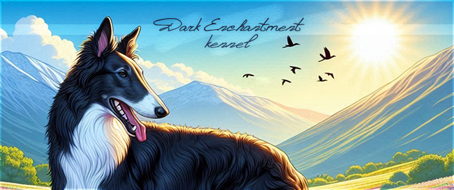 Dark Enchantment