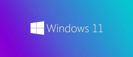 Windows 11 10.0.22000.160 (x64) AIO 10in1 MultiLanguage Preactivated August 2021