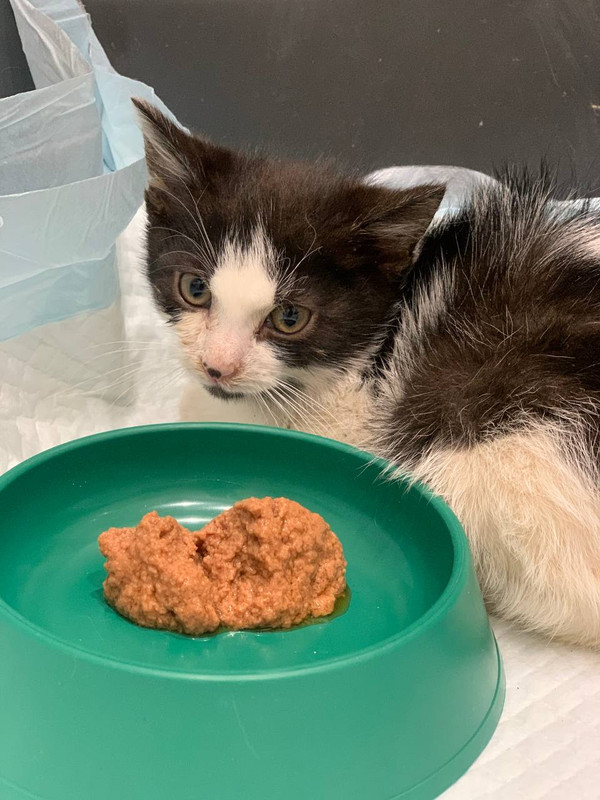 79078D0B-9573-4F83-9233-D141A0AAF0FF