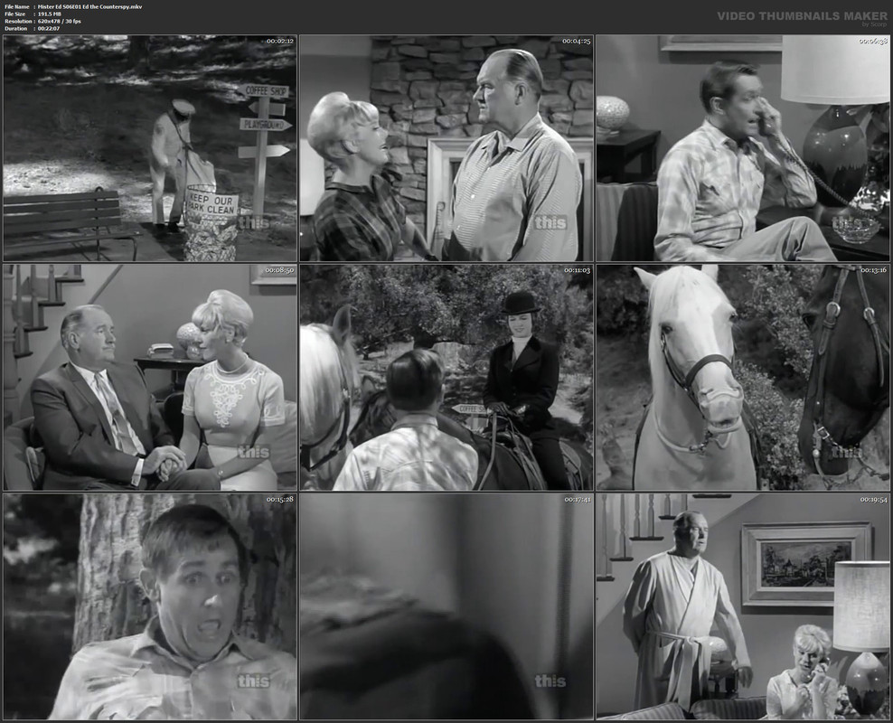Mister Ed S06E01 Ed the Counterspy.mkv