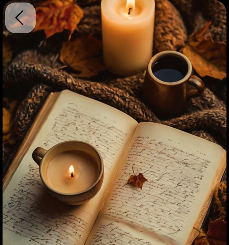 Screenshot_20251003_233710_Pinterest