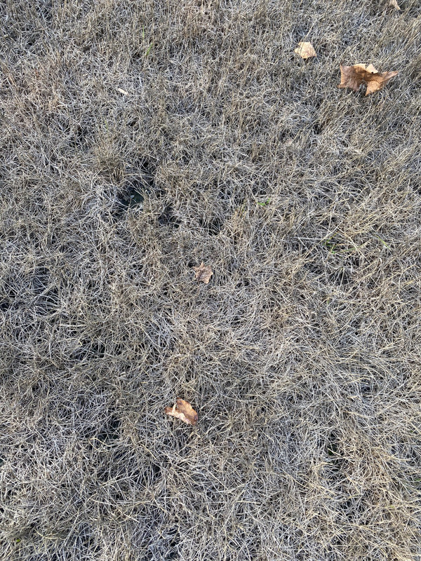 7EB10047-0089-47E9-AA93-ECB731E17E8C