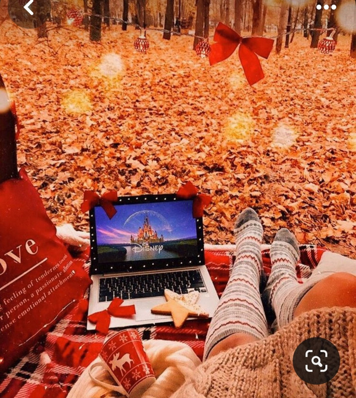 Screenshot_20231117_205619_Pinterest