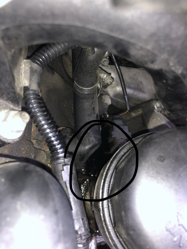 0CFEA5A4-749A-46E7-B34C-D5FDA1627408