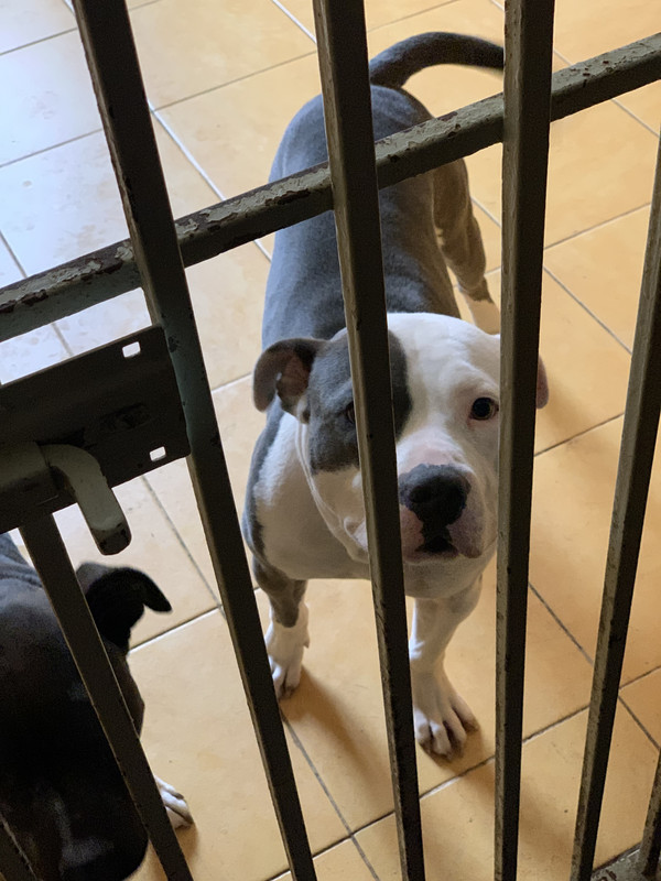 7D12E8B9-BA3B-44E5-B175-92DF07DCE000