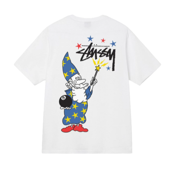 Stussy Tee 3+ colorways [Premium Quality]