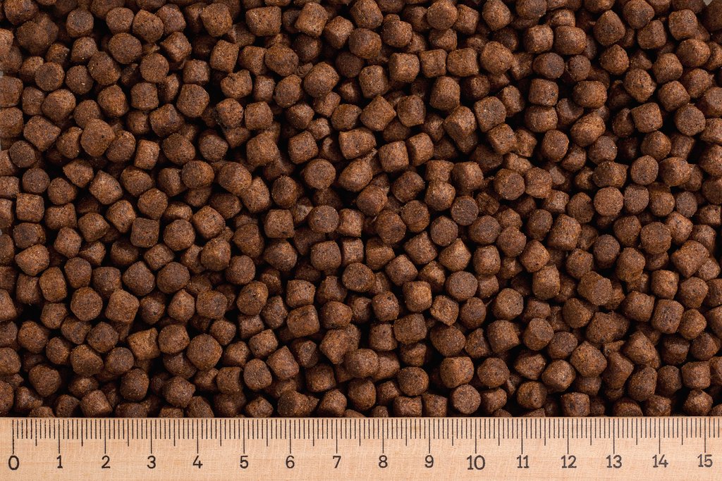 sample52