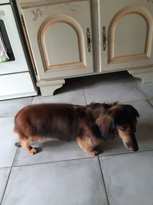 [Image: 20230509-115806.jpg]