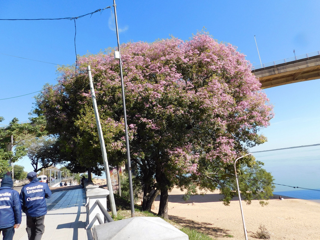 DSCN0191.jpg