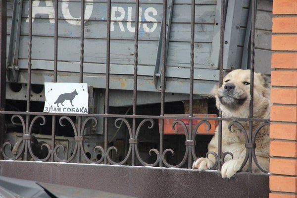 2017_03_26_12_30cs541607_userapi_com_c636519_v63