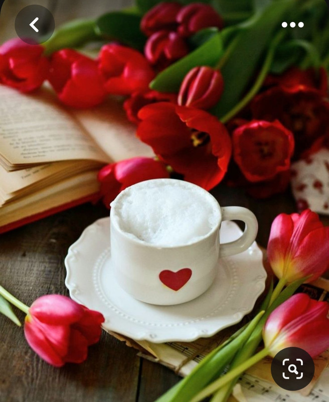 Screenshot_20230710_230601_Pinterest