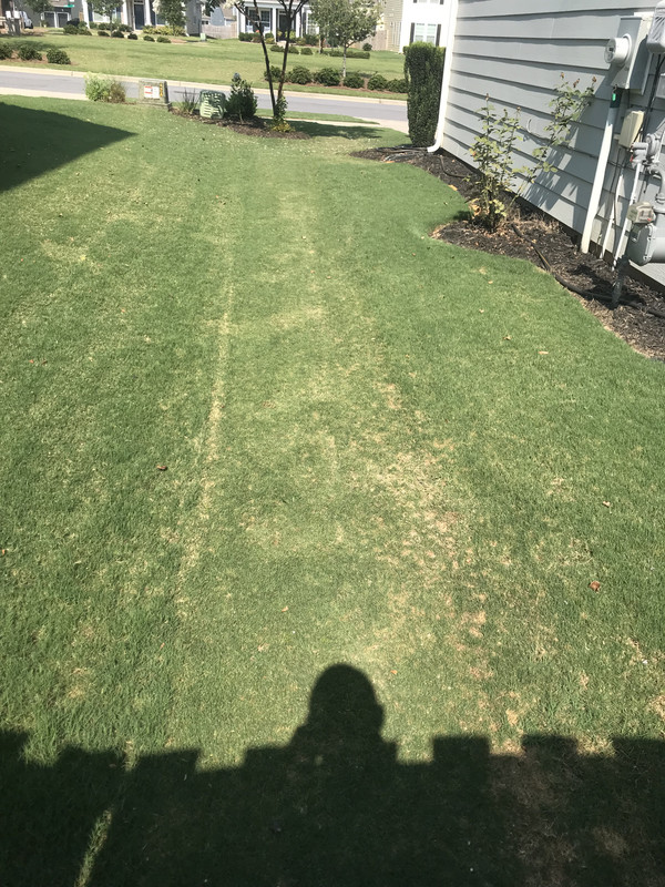 5E44BA1F-5D98-4050-8106-7BE7C34C88D5