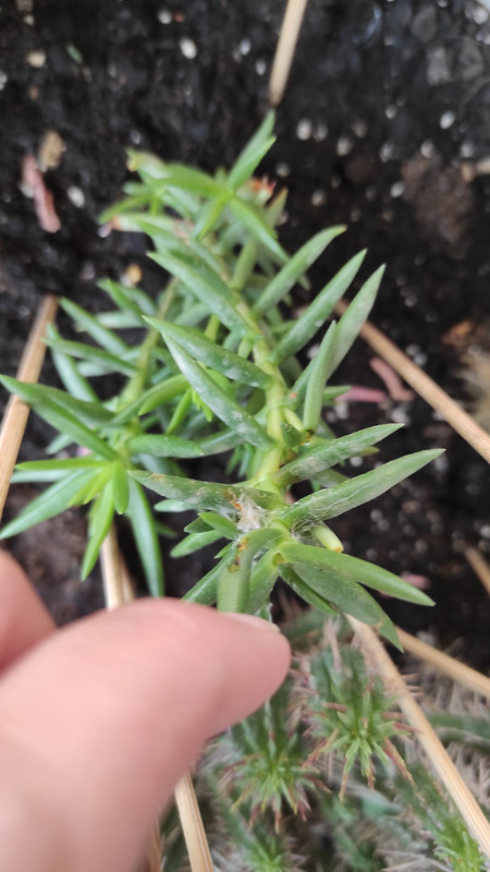 WhatsApp Image 2022-05-12 at 1.40.10 PM (1)