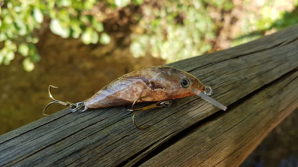 244561298-2040409462791890-1005823799443