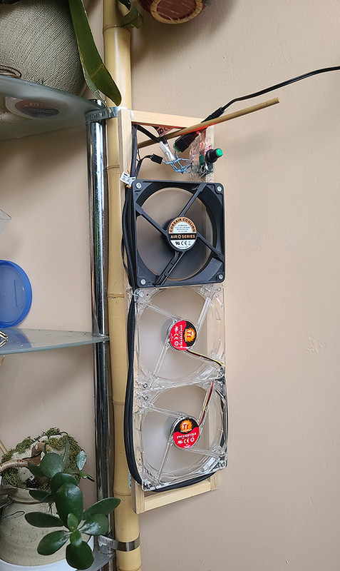 [Image: 20240628-193037.jpg]