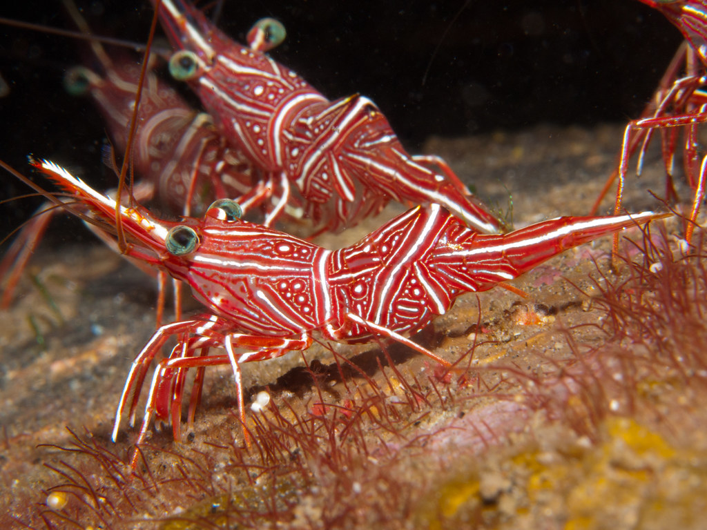 7E3EA35C-ECE1-493E-BE9F-38DEF8033C13