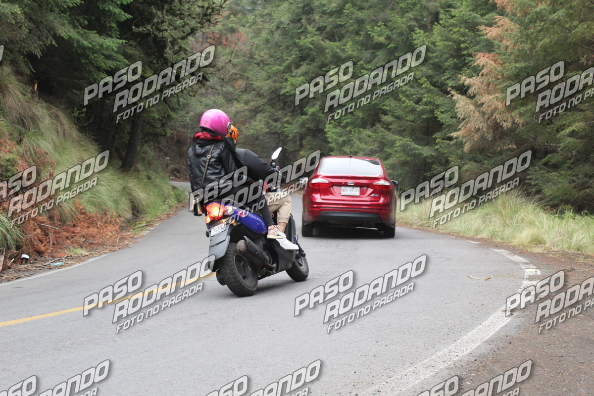 IMG 1684 wm 7281571 8 watermarked — Postimages