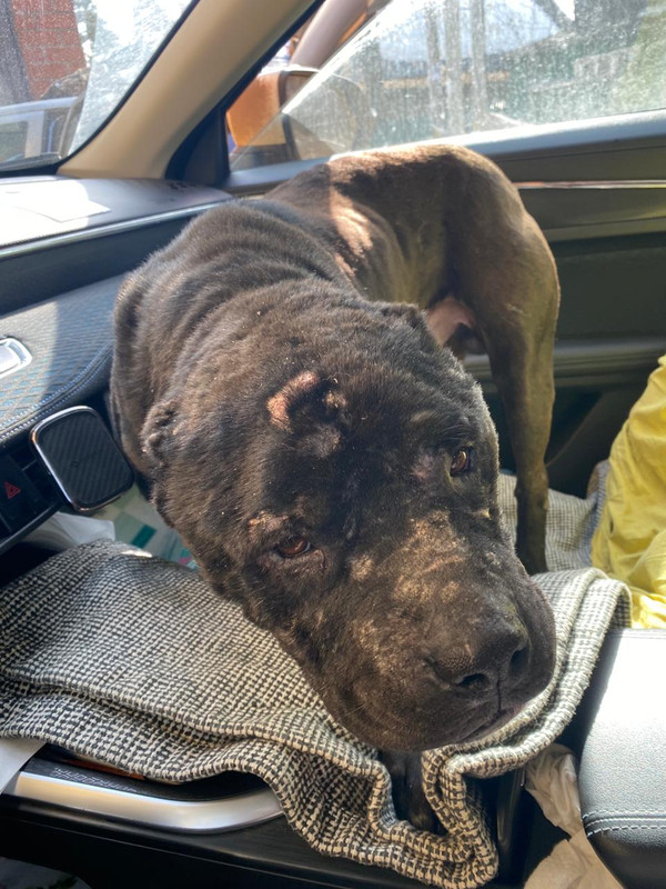 WhatsApp Image 2024-03-25 at 19.48.59 (2)