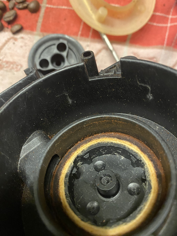 40AE9DD5-EE5B-4B52-B2F0-EC4BF1203C92