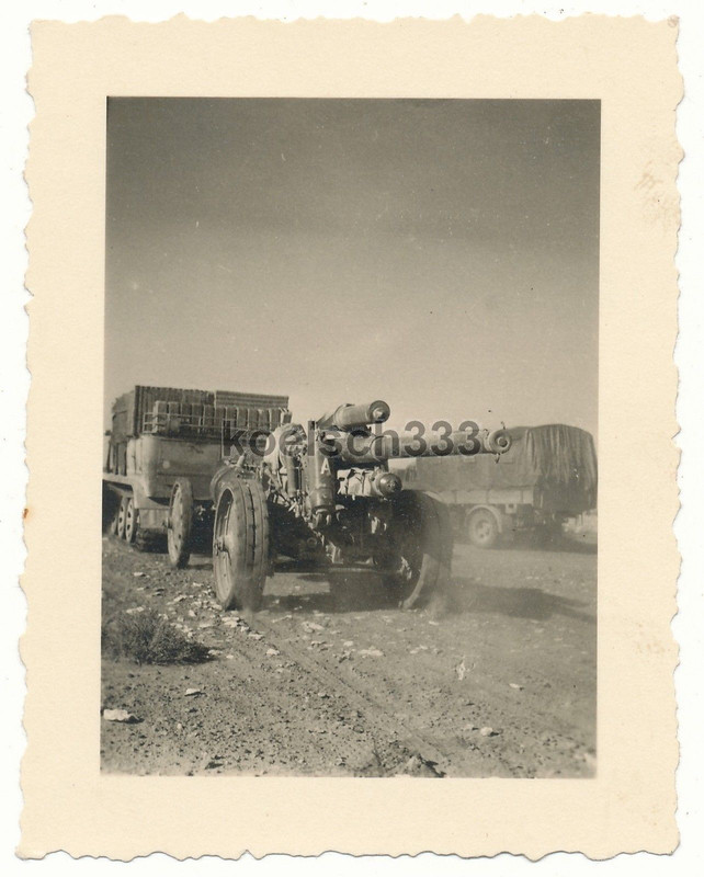 Foto Afrika Korps Panzer Halbkette Artillerie Geschütz Zugmaschine DAK SdKfz