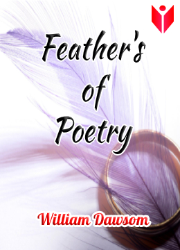 Feathers of Poetry thumbnail