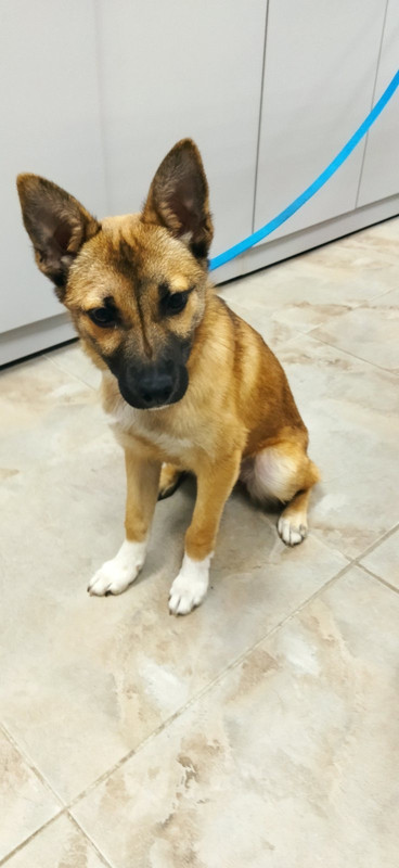 428D4732-E4F1-45E9-9960-C011EEE8BEC7